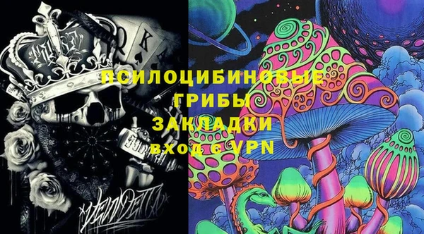 кокс Арсеньев