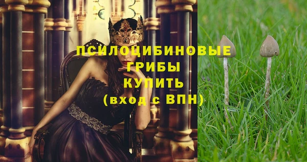 кокс Арсеньев