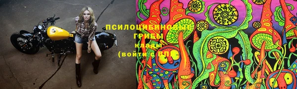 Альфа ПВП Армянск
