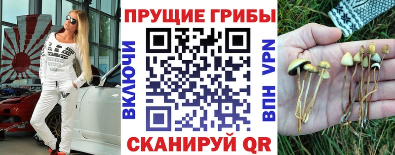 Псилоцибиновые грибы Psilocybine cubensis Струнино